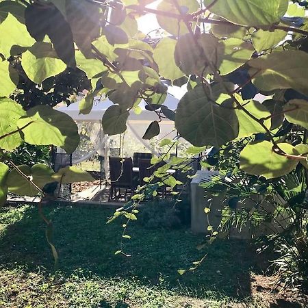 Garden Cozy Apartment Zadar Dış mekan fotoğraf