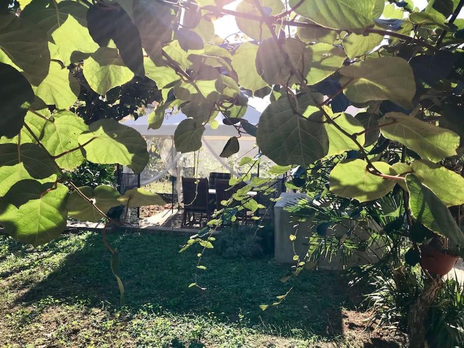 Garden Cozy Apartment Zadar Dış mekan fotoğraf