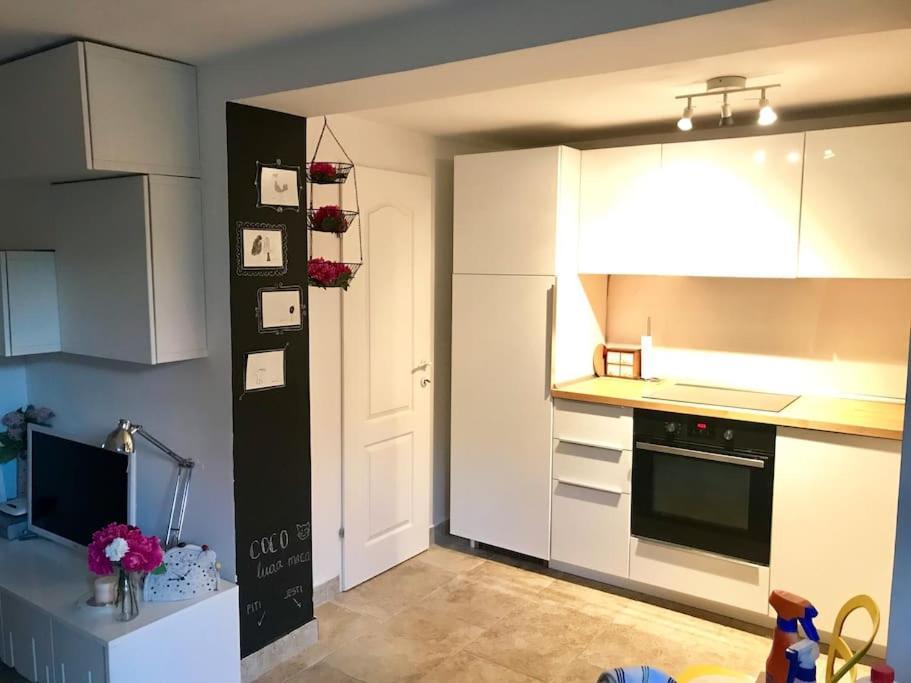 Garden Cozy Apartment Zadar Dış mekan fotoğraf